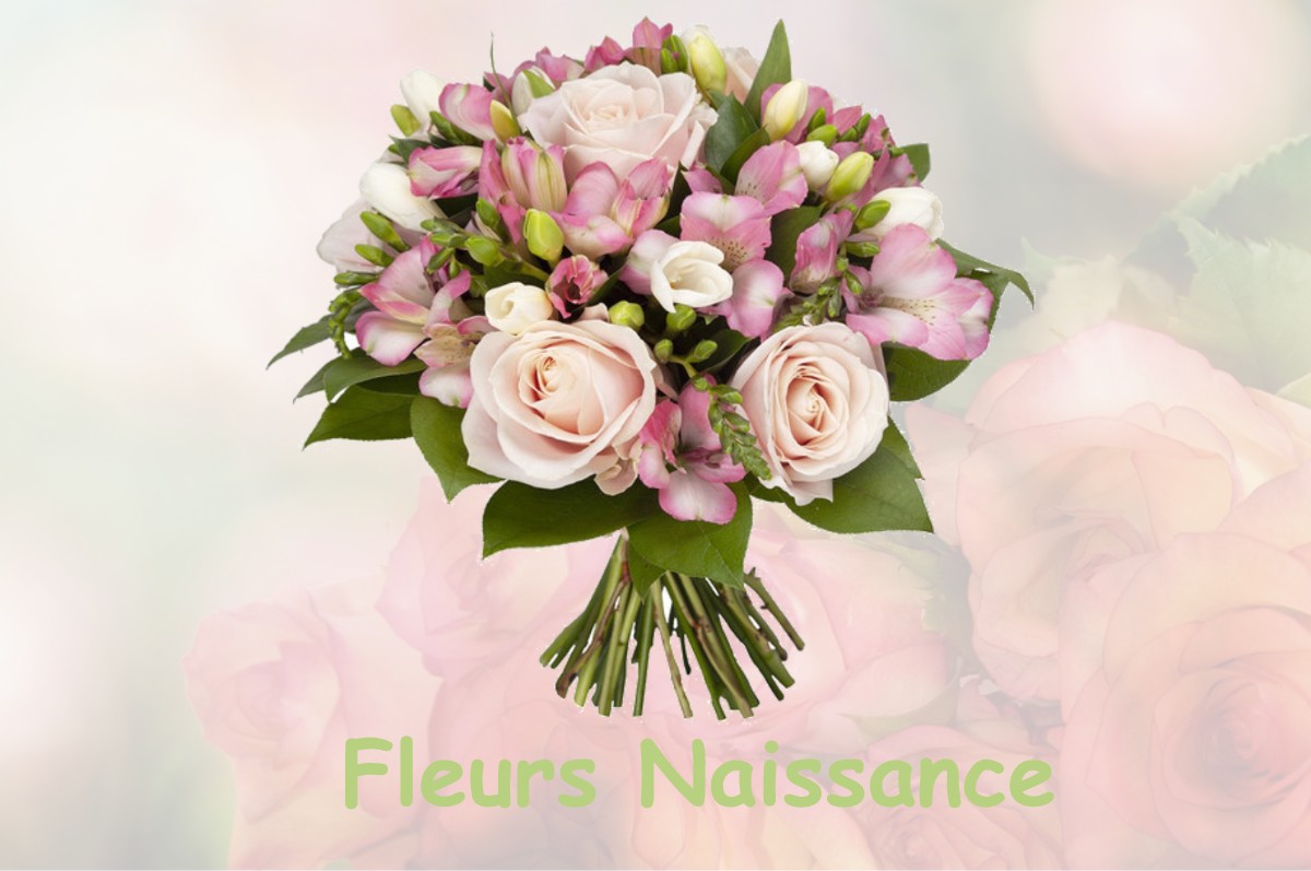 fleurs naissance FAUGUEROLLES