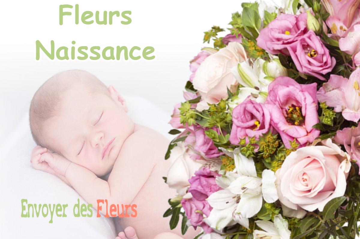 lIVRAISON FLEURS NAISSANCE à FAUGUEROLLES